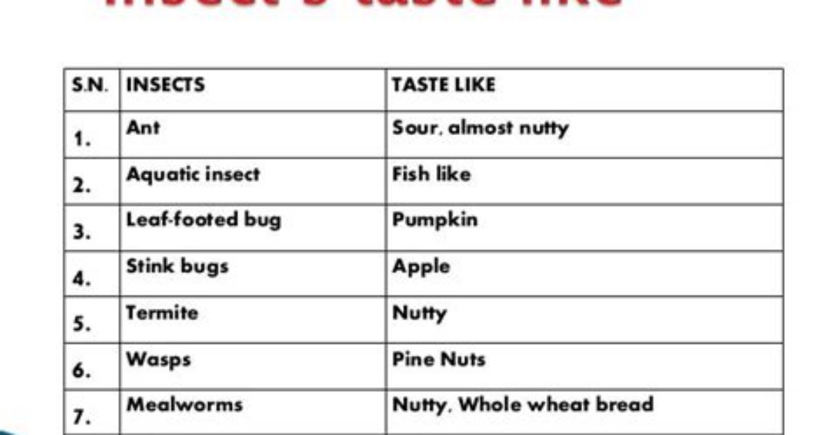 Do Insects Taste Good?