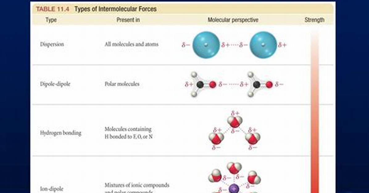 Do Intermolecular Forces Increase with Size?