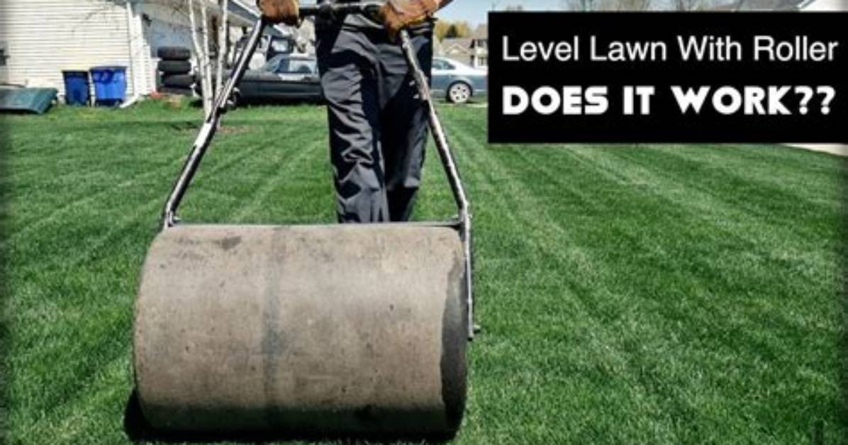Do Lawn Rollers Work?
