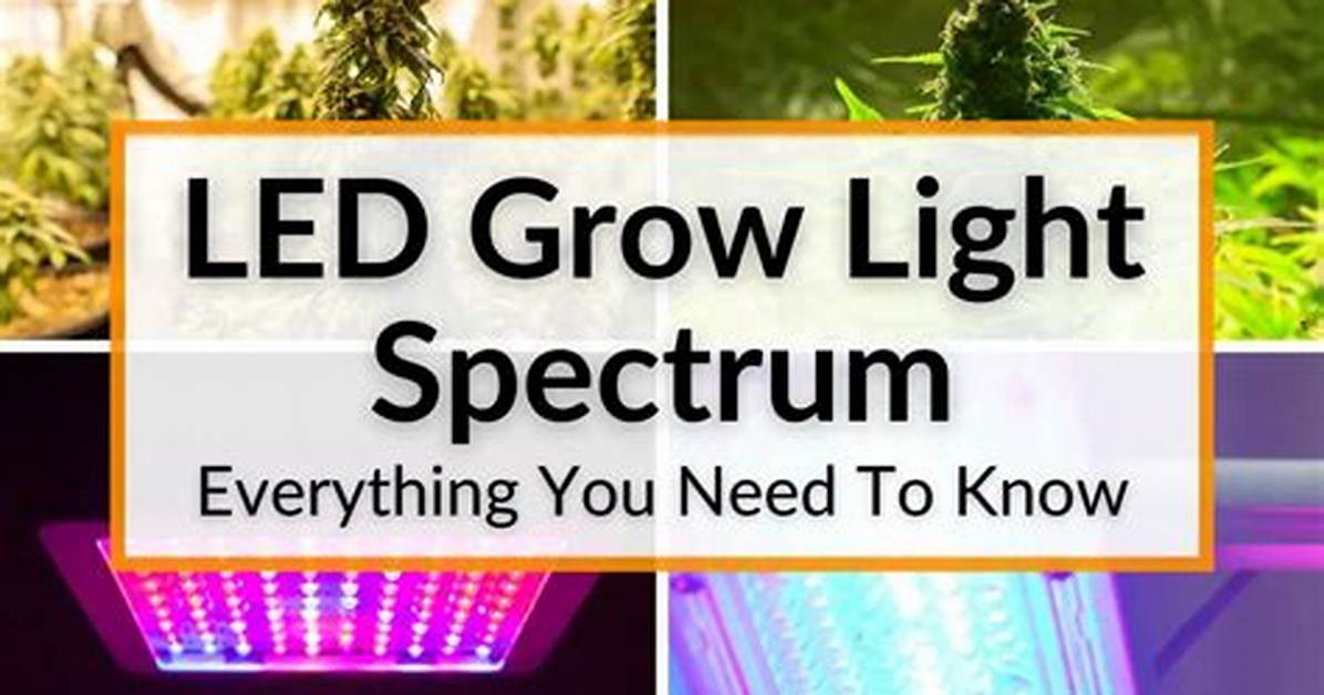 Do Leds Work as Grow Lights
