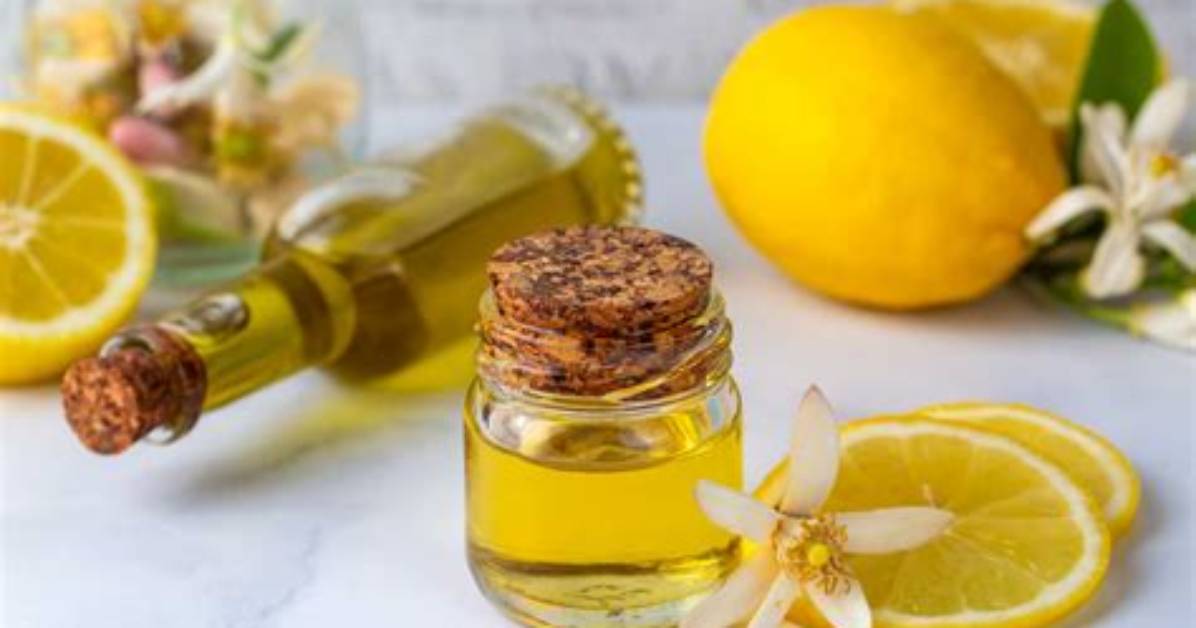 Do Lemons Repel Mosquitoes