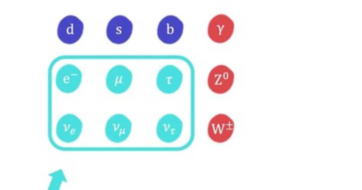 Do Leptons Have Strangeness?