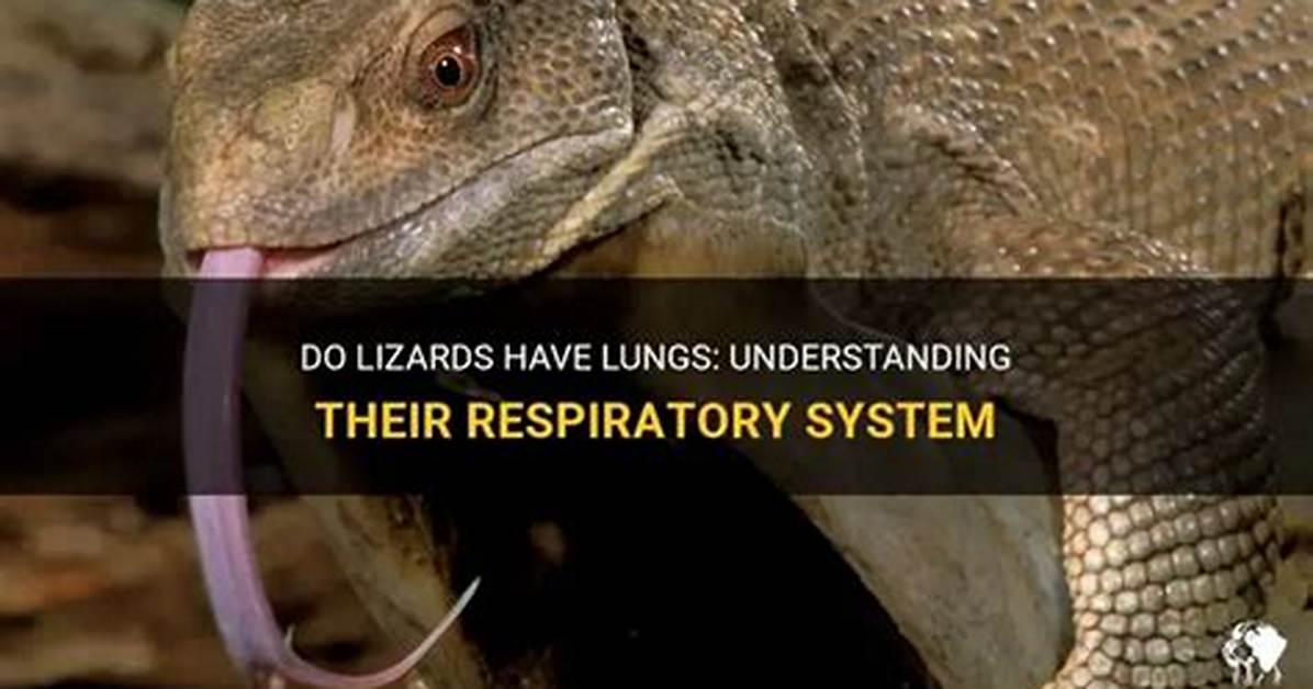 Do Lizards Have Lungs