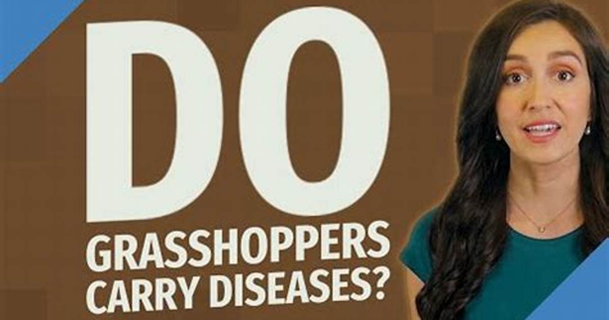 Do Locusts Carry Disease?