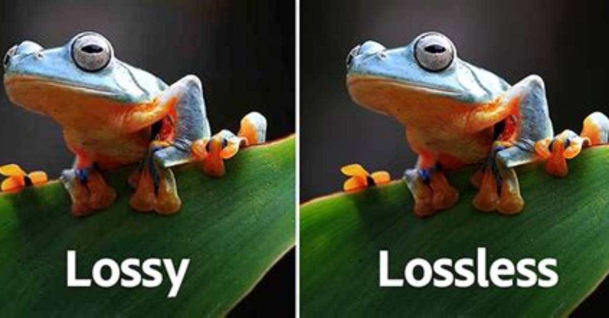 Do Lossy or Lossless?