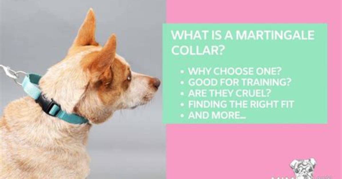 Do Martingale Collars Help with Pulling?