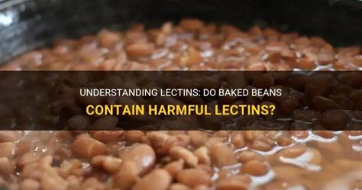 Do Meats Have Lectins?