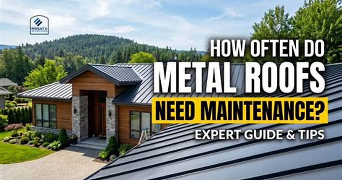 Do Metal Roofs Need Cleaning?