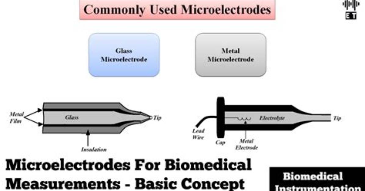 Do Metallic Micro Electrodes Exist?
