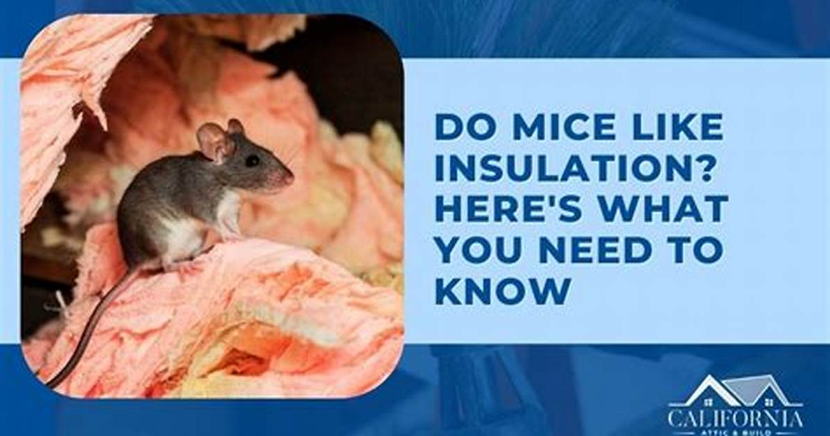 Do Mice Like Tubes