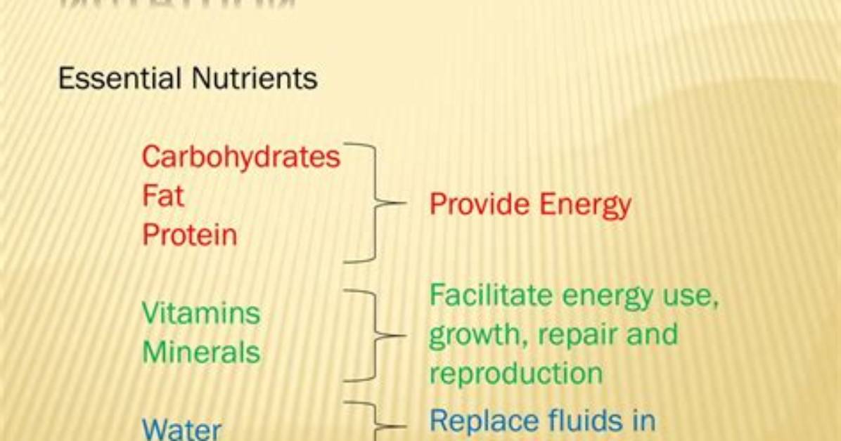 Do Minerals Provide Energy?