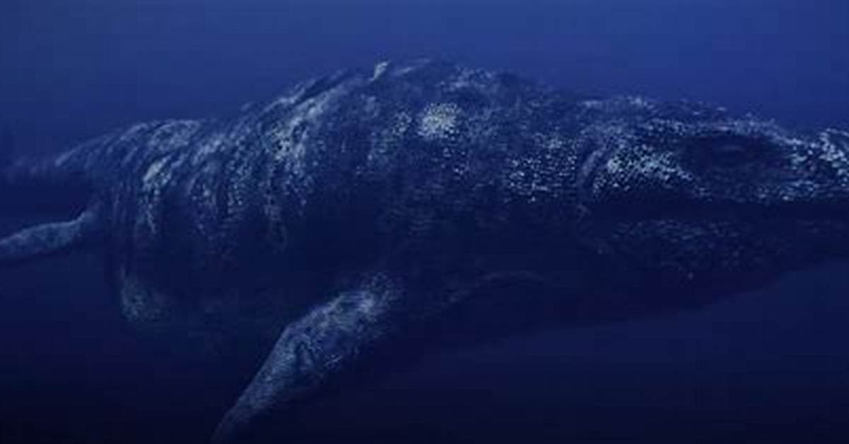 Do Mosasaurs Lay Eggs?