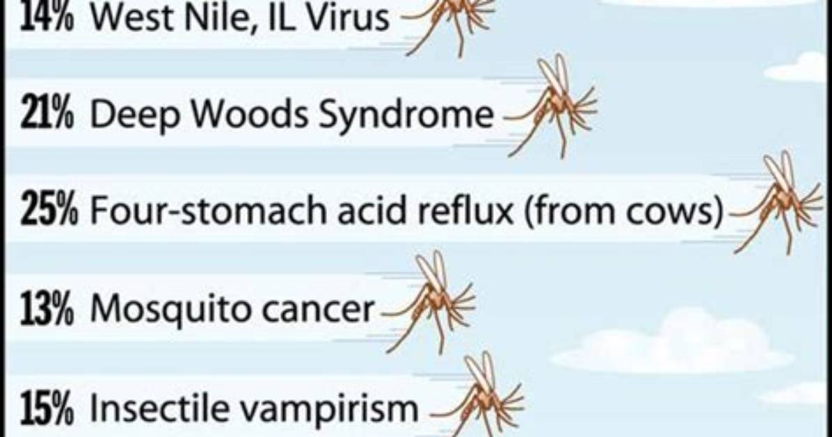 Do Mosquitoes Carry Borrelia?
