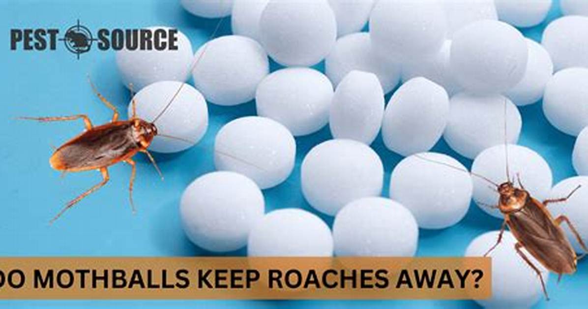 Do Moth Balls Keep Termites Away?