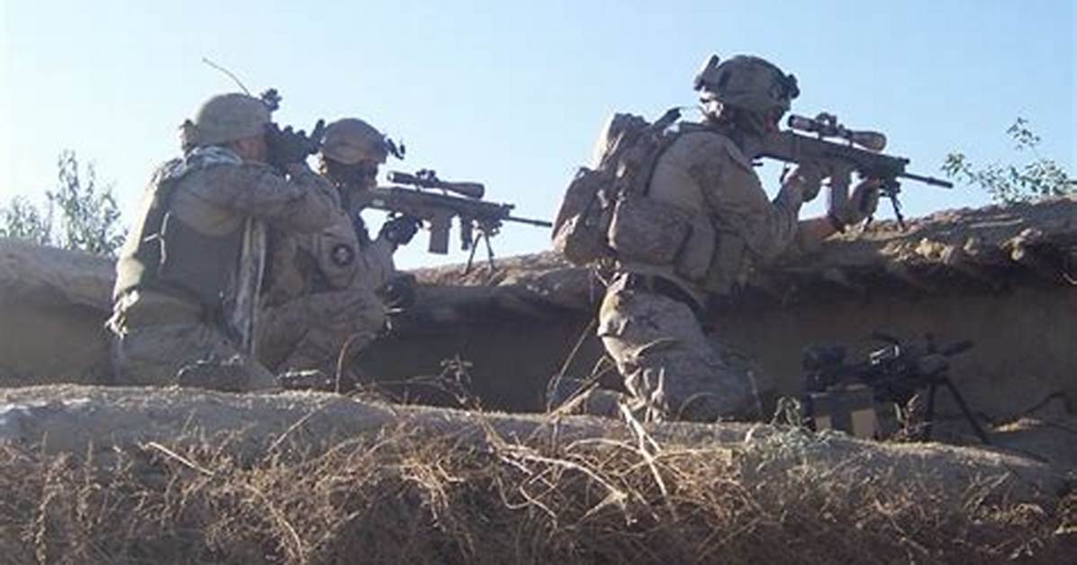 Do Navy Seals Have Snipers?