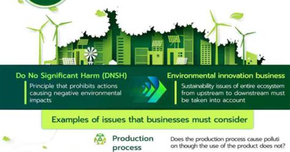 Do No Significant Harm Principle?