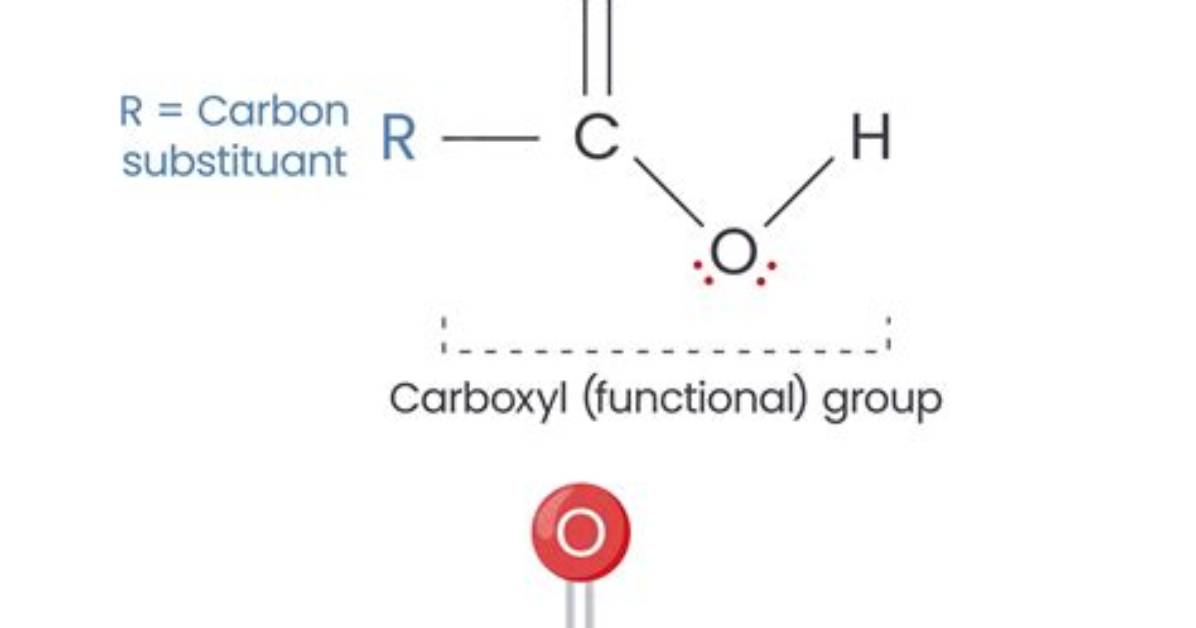 Do Nucleotides Have a Carboxyl Group?