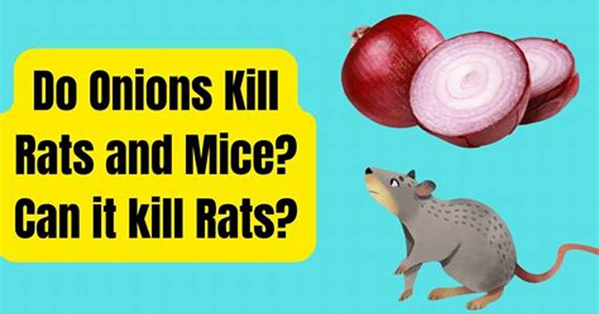 Do Onions Kill Ants?