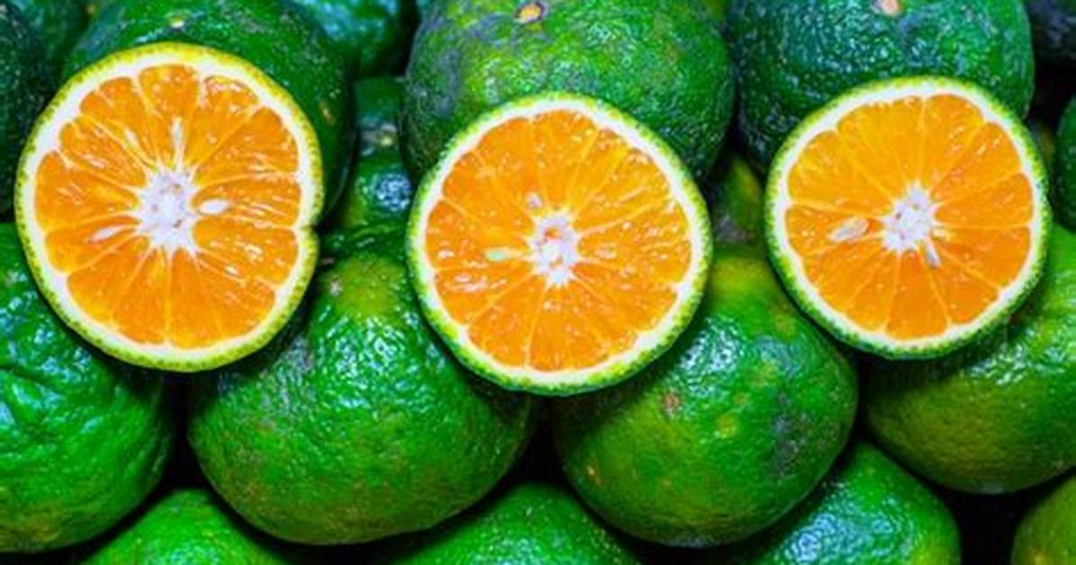 Do Oranges Start off Green