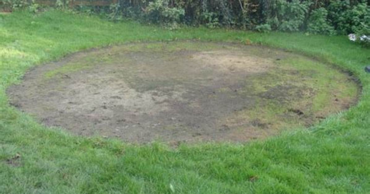 Do Paddling Pools Ruin Grass?