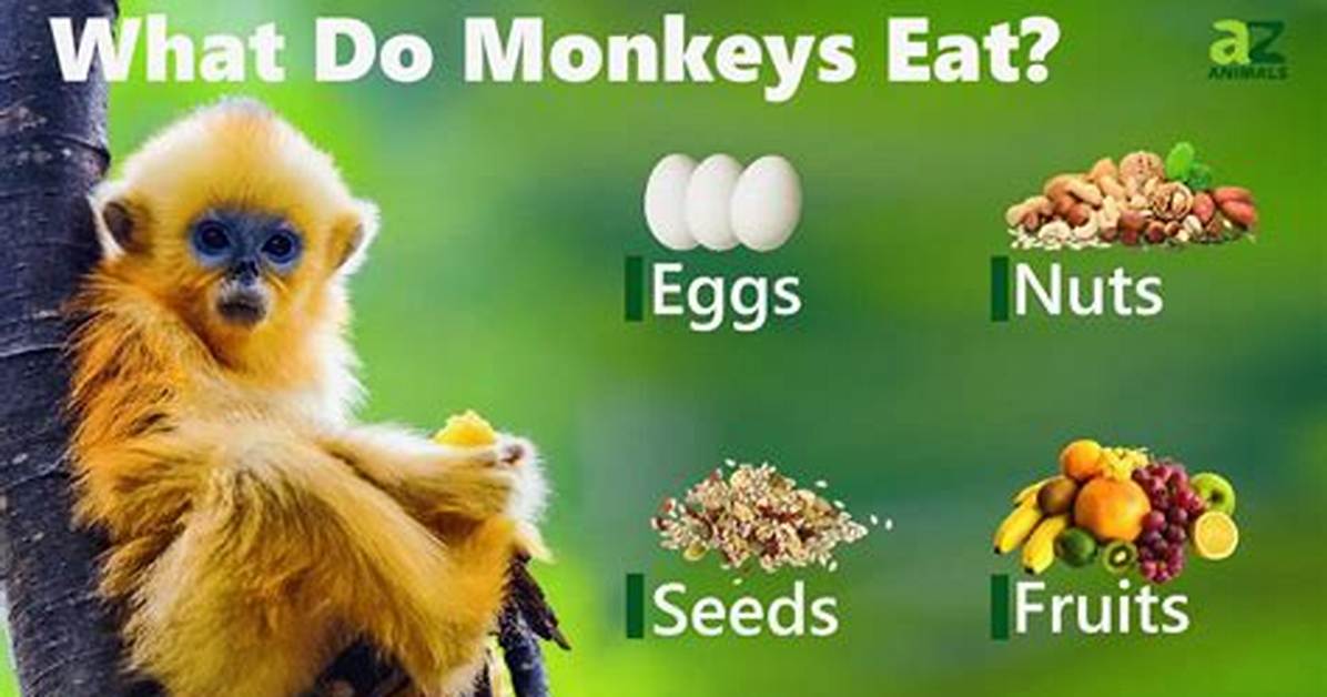 Do People Eat Monkeys?