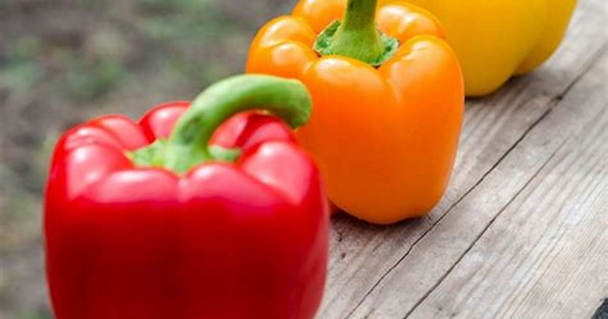 Do Peppers Keep Producing?