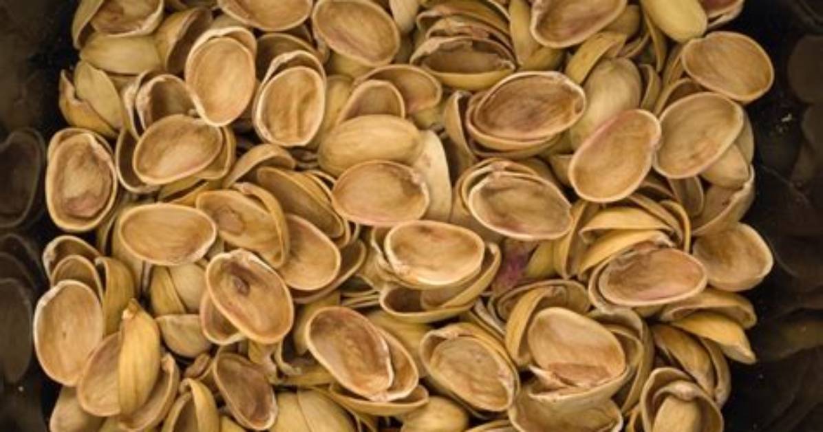 Do Pistachio Shells Open Naturally?
