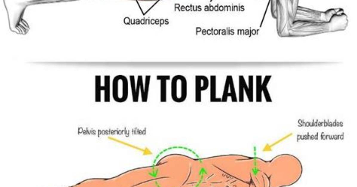 Do Planks Get Abs?