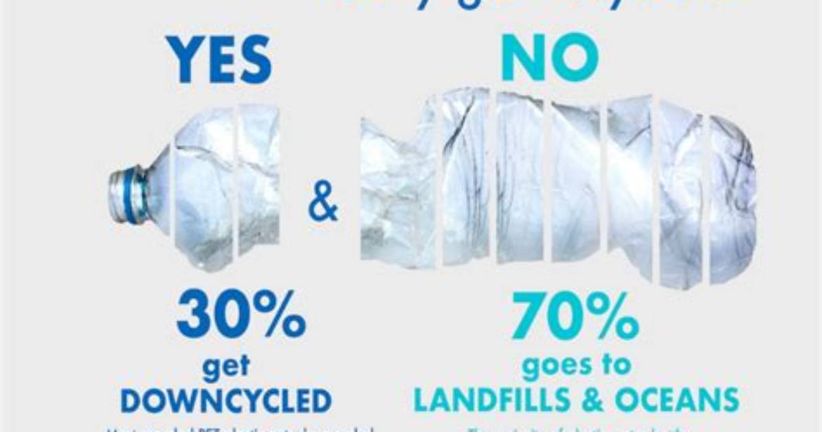 Do Plastic Bottles Actually Get Recycled