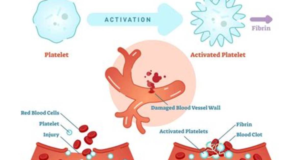 Do Platelets Have Thrombin?