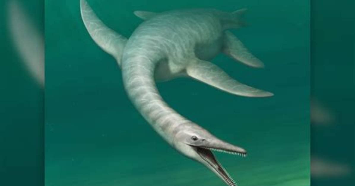 Do Plesiosaurs Still Exist?