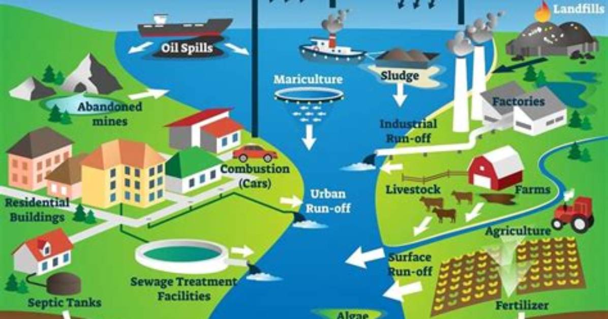 Do Pollutants Enter the Water Cycle?