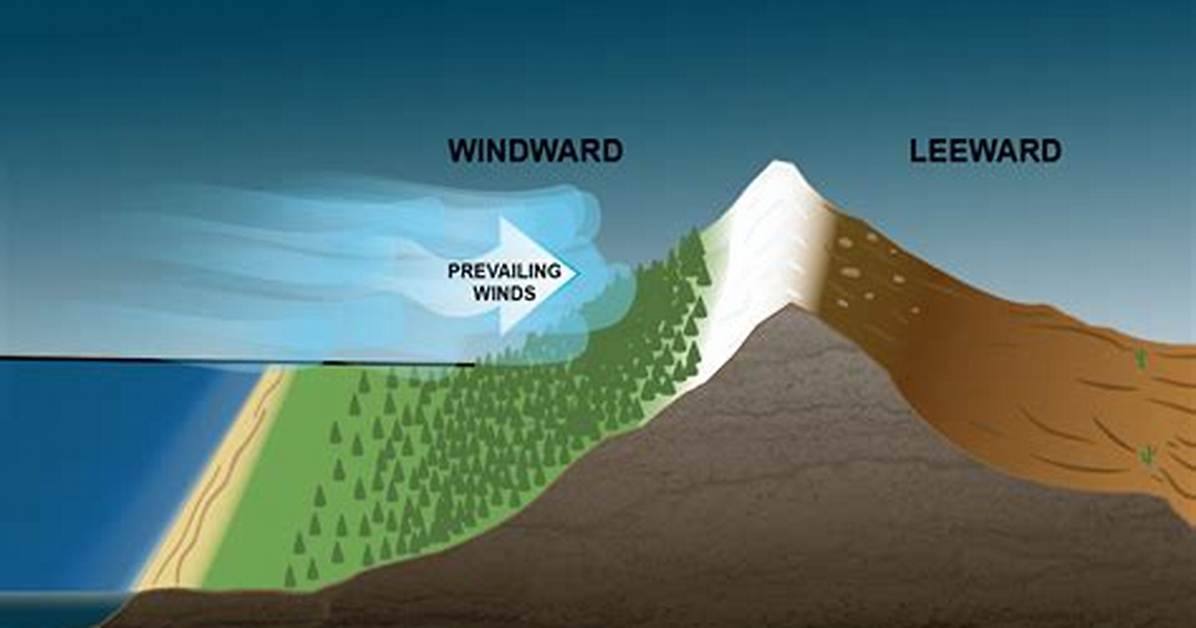 Do Prevailing Winds Blow All the Time?