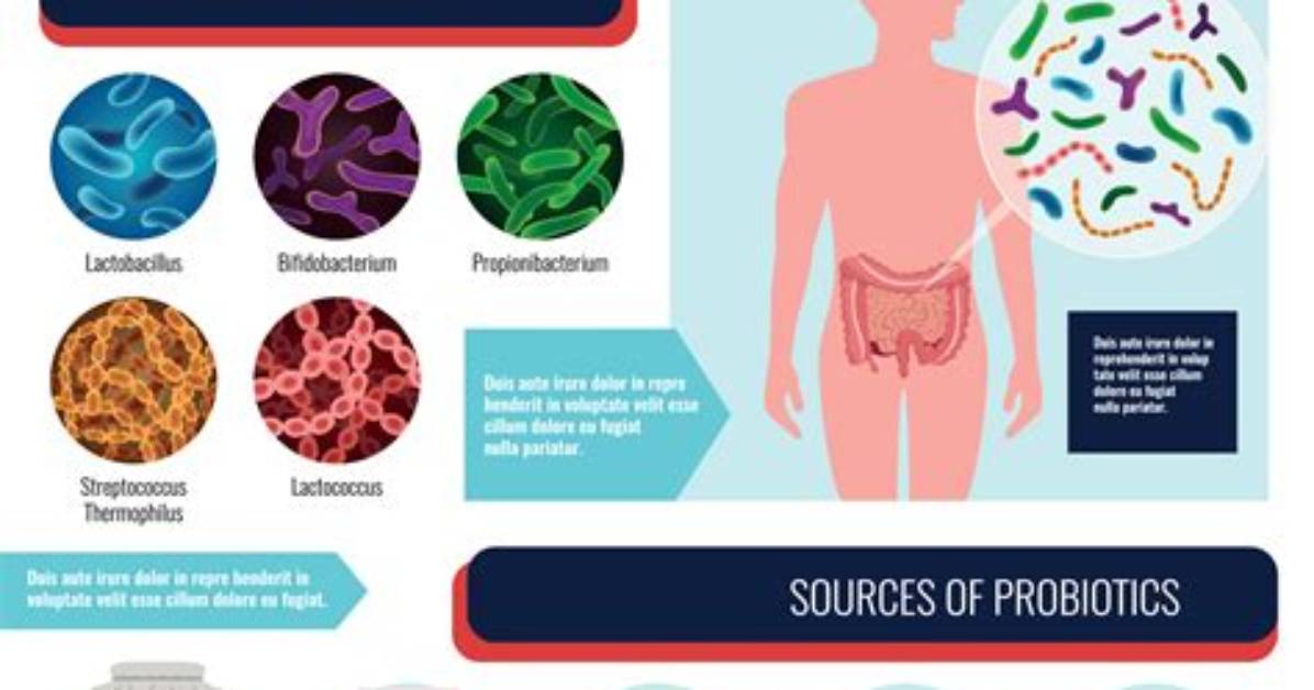 Do Probiotics Help with Gassiness?