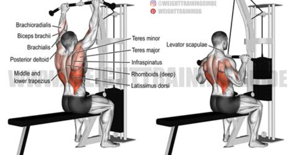 Do Pull Downs Work Back?