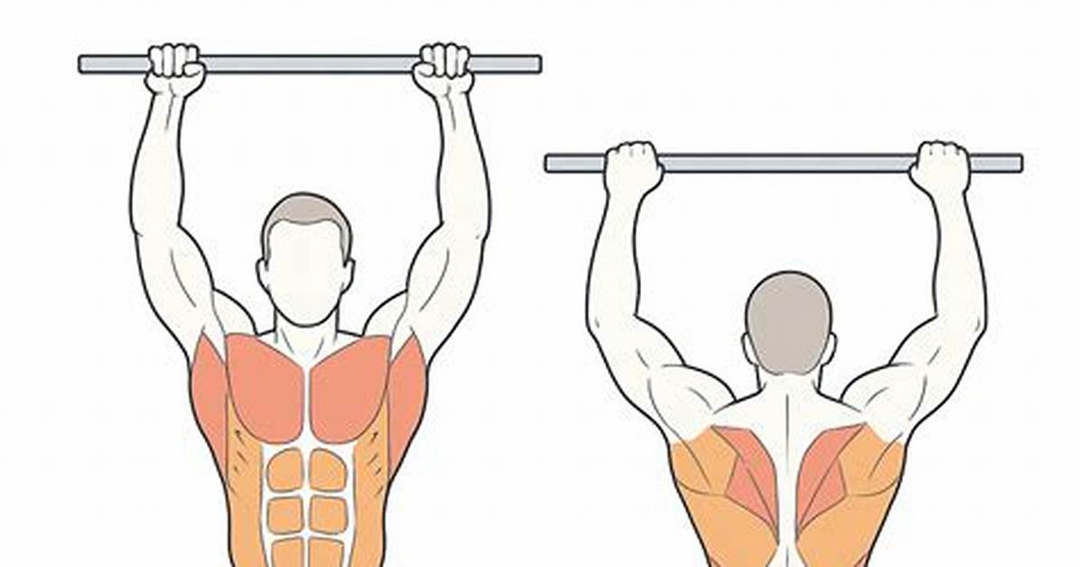 Do Pull Ups Work Forearms?
