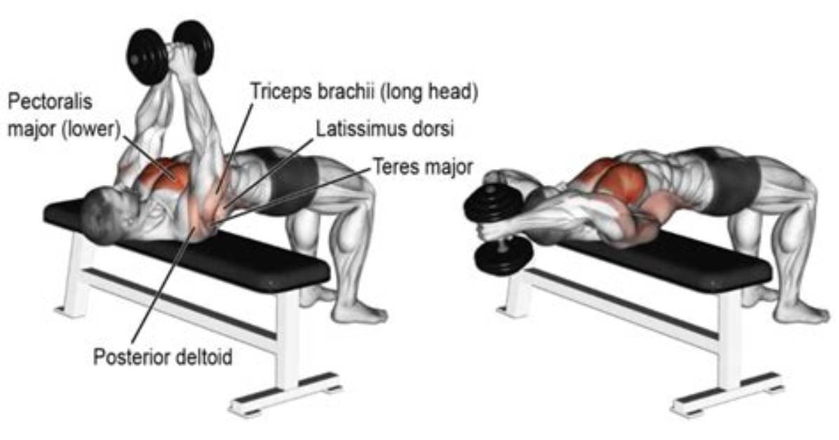 Do Pullovers Build Chest?