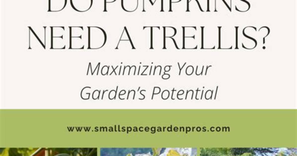 Do Pumpkins Need Trellis