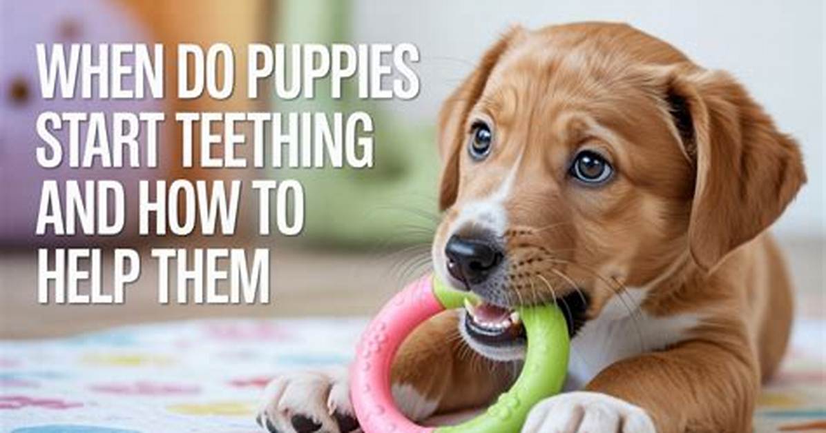 Do Puppies Yelp When Teething?