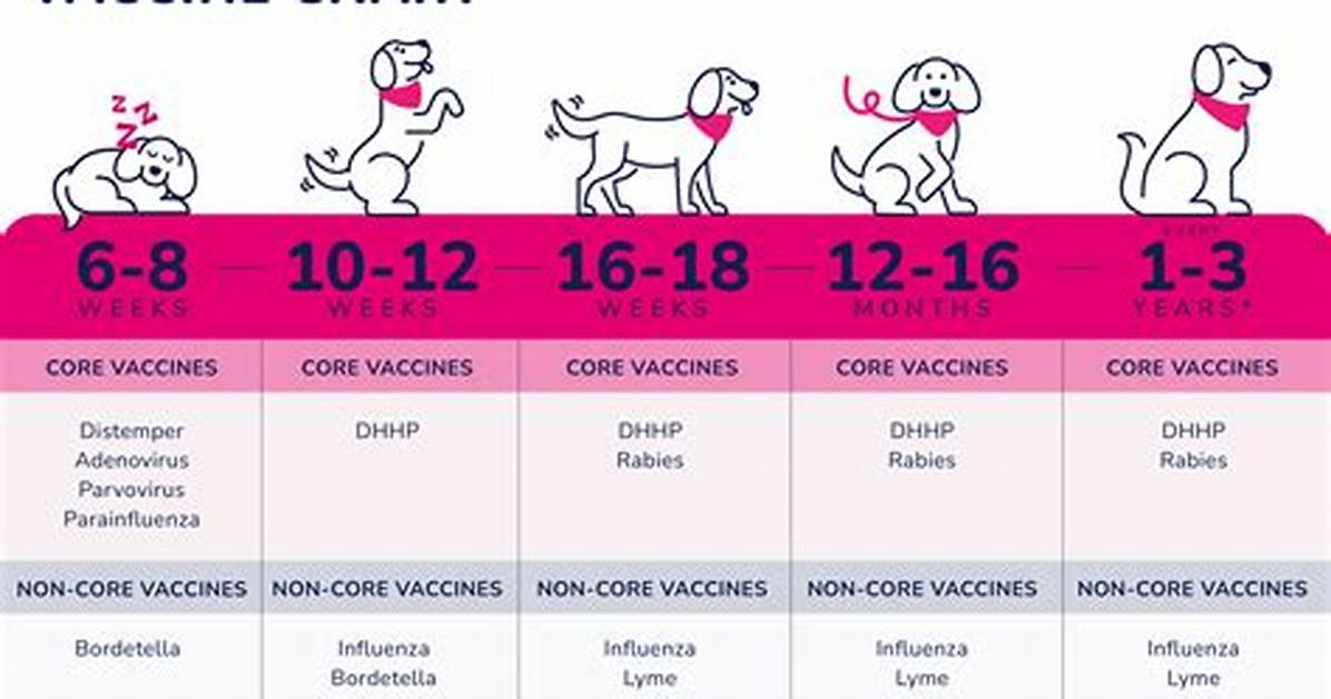 Do Puppy Shots Hurt?