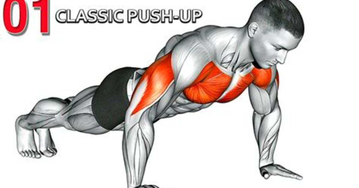 Do Pushups Work Chest?