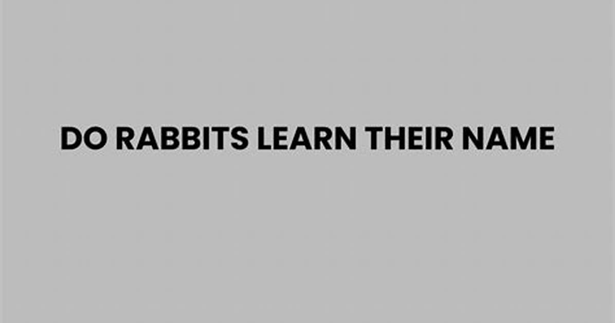Do Rabbits Learn Their Names?