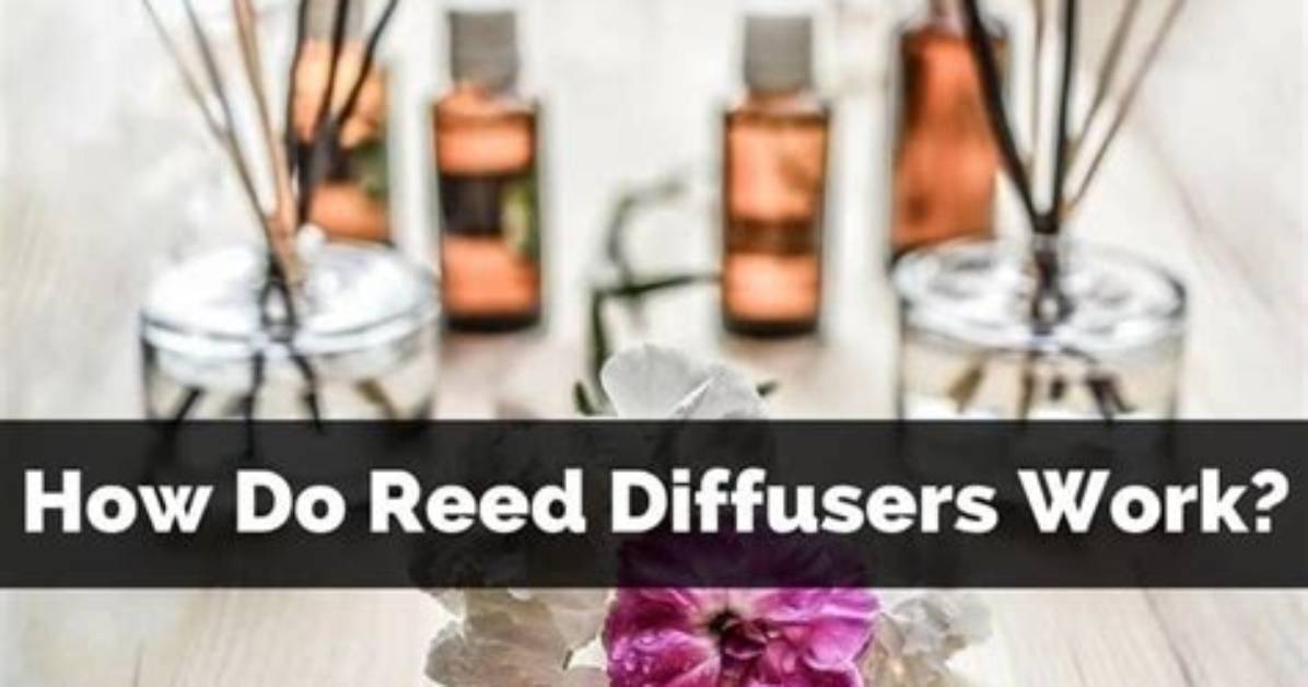 Do Reed Diffusers Work?