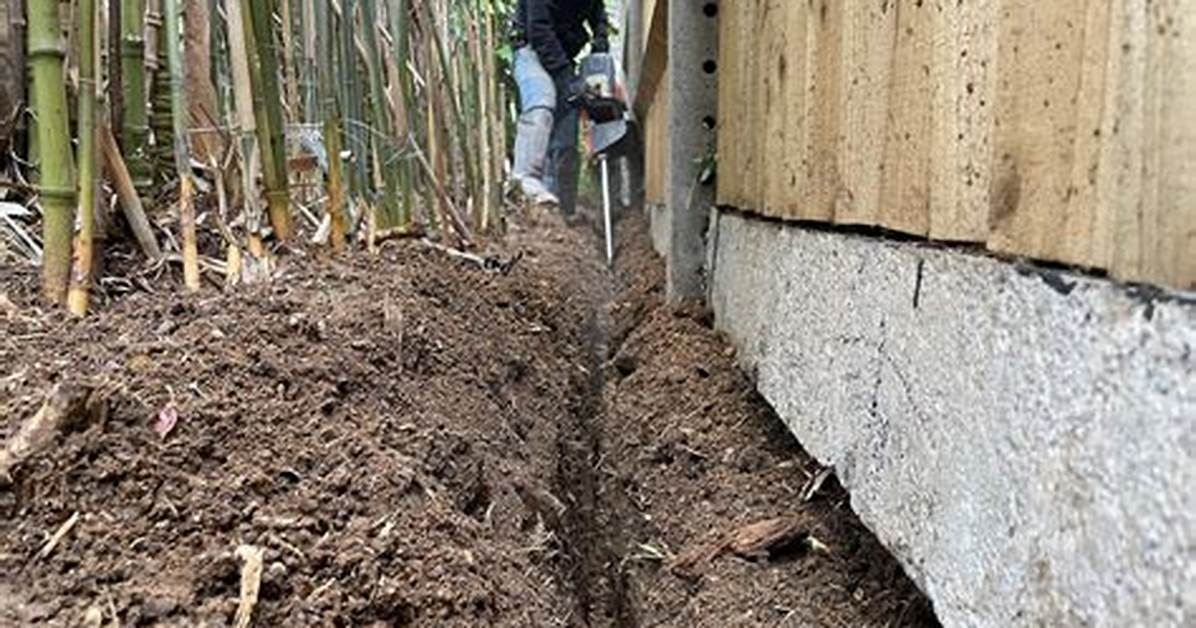 Do Rhizome Barriers Work?
