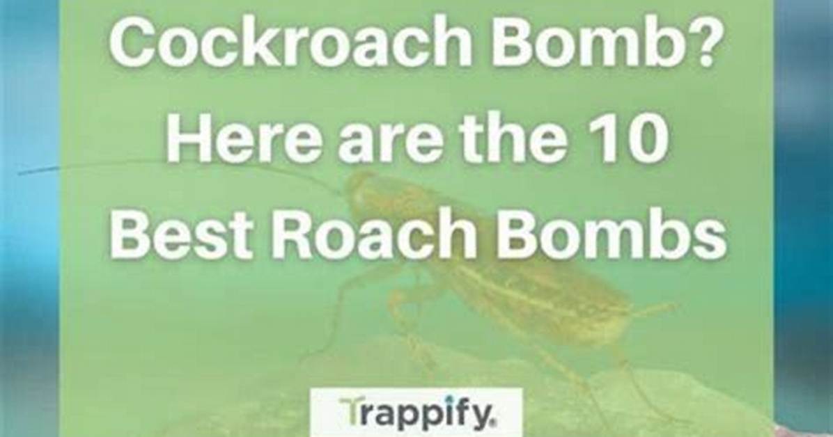 Do Roach Bombs Kill Gnats