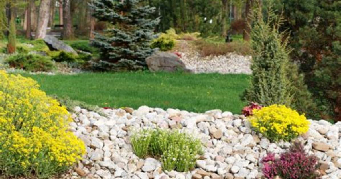 Do Rocks Make Good Mulch