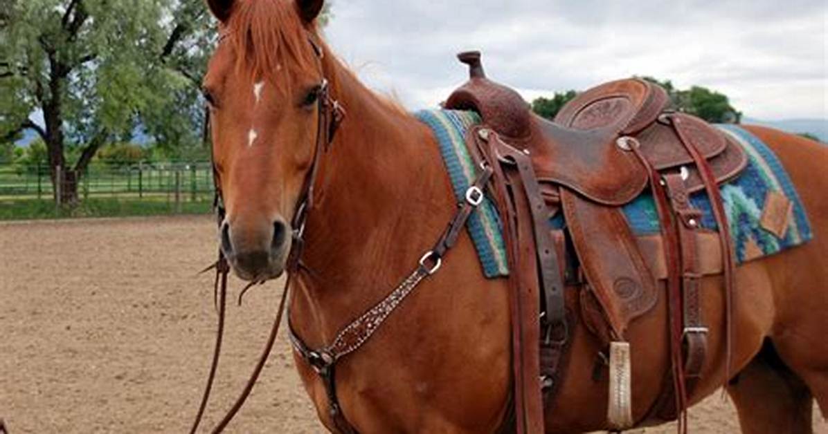 Do Saddled Horses Despawn? | Contextresponse. Com