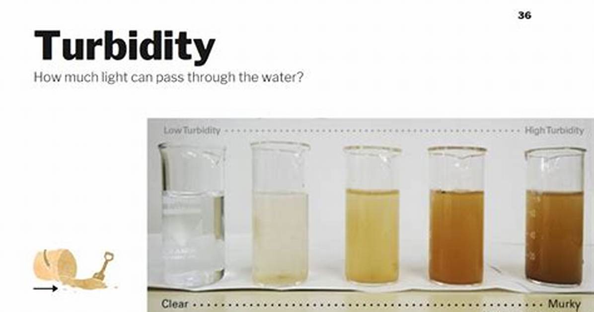 Do Salinity Affect Turbidity?
