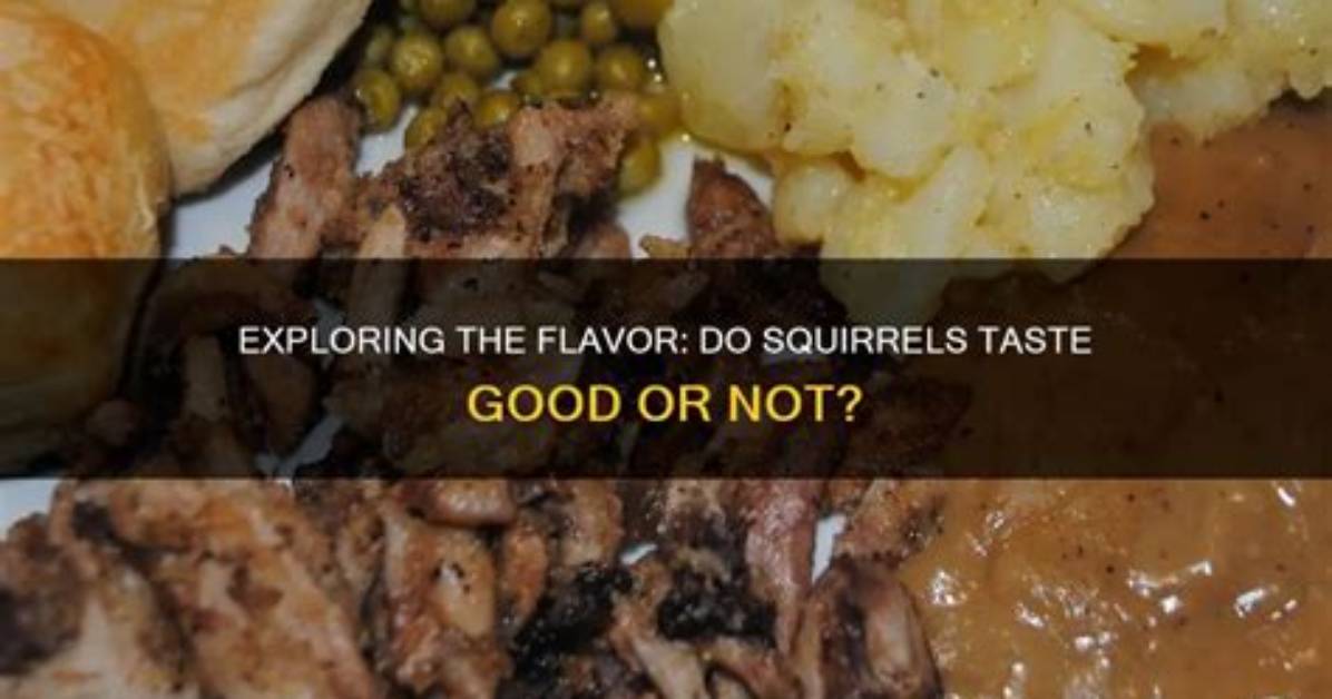 Do Schnapps Taste Good?