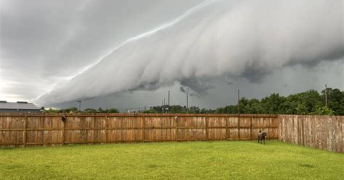 Do Shelf Clouds Produce Tornadoes?